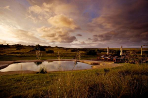 Гостиница Hlosi Game Lodge - Amakhala Game Reserve  Патерсон